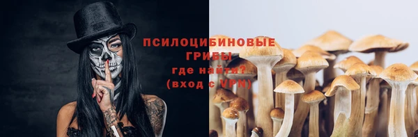 бошки Верхний Тагил