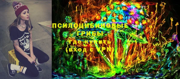 бошки Верхний Тагил