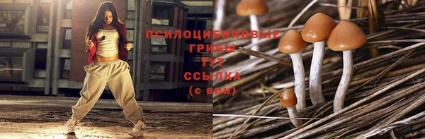 бошки Верхний Тагил