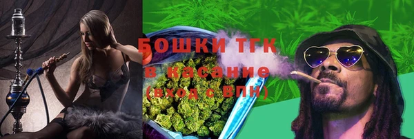 бошки Верхний Тагил