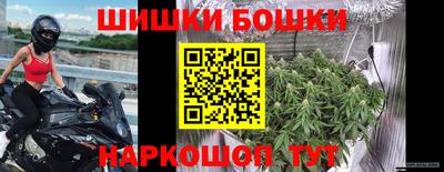 крисы Славянск-на-Кубани