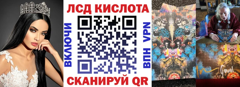 купить наркотики цена  Черняховск  Наркотические марки 1,5мг 