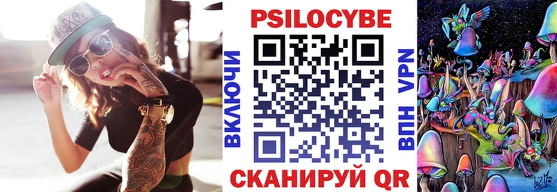 как найти наркотики МЕГА вход Псилоцибиновые грибы мицелий Черняховск