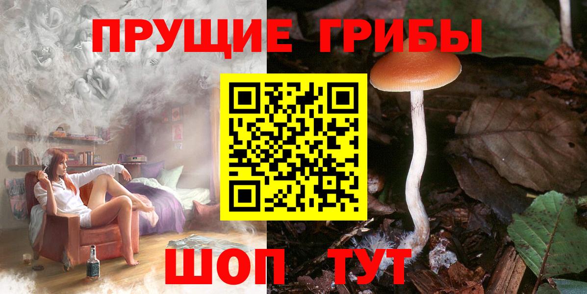 Псилоцибиновые грибы Psilocybine cubensis  что такое   Черняховск  Вход с VPN 