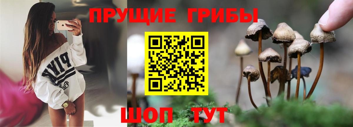 Галлюциногенные грибы мицелий Черняховск